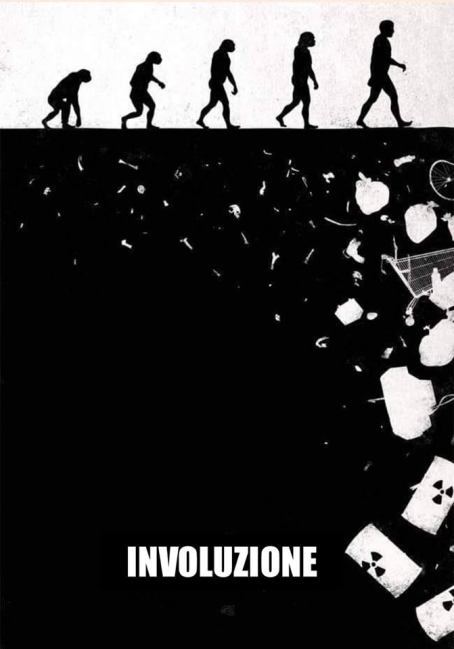 62038163_546286999109620_5398245846317793280_n